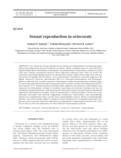 Sexual reproduction in octocorals