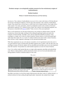 Predator escape: an ecologically realistic scenario