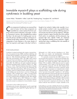 Immobile myosin-II plays a scaffolding role during cytokinesis in