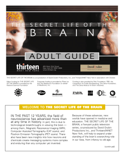 BRAIN Adult Guide for pdf