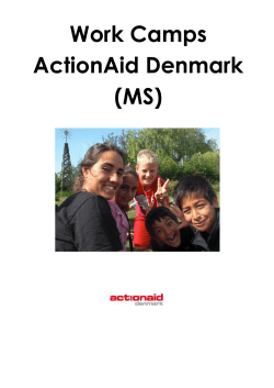 MS ActionAid Denmark - IBG