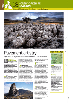 Pavement artistry - Live for the Outdoors