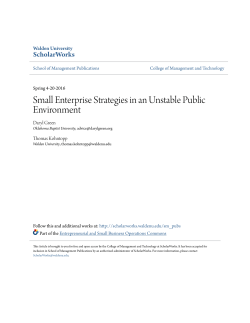 Small Enterprise Strategies in an Unstable Public