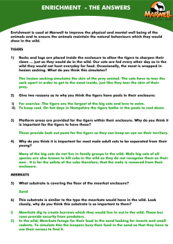 Enrichment- The Answers