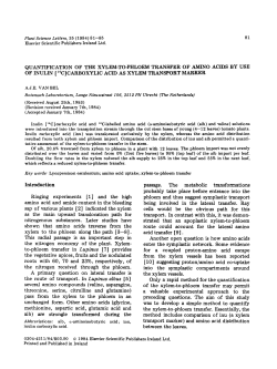 quantification of the xylem-to-phloem transfer of amino acids by use
