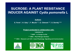 Improvement of biological control against Cydia pomonella by sucrose