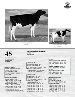 JOLEANNA-WS J ARISTOCRAT-ET - Great Northern Sales Arena