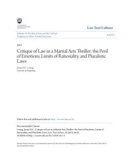 Critique of Law in a Martial Arts Thriller: the Peril