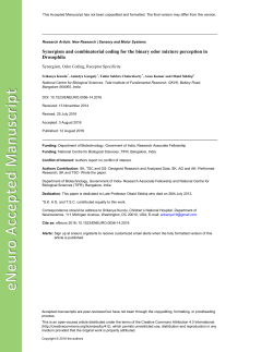 Synergism and combinatorial coding for the binary odor mixture