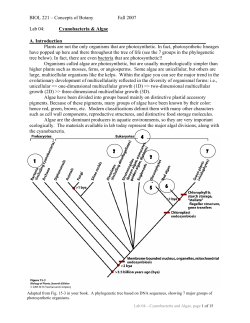 BIOL 221 &ndash; Concepts of Botany Fall 2007 Lab 04