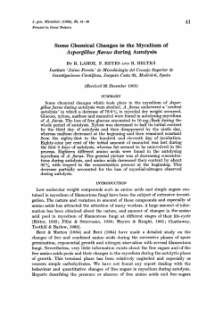 Some Chemical Changes in the Mycelium of