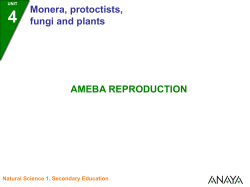 Ameba - Ciencias SEK