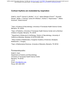 Cortical rhythms are modulated by respiration