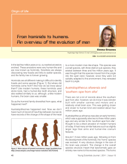 From hominids to humans: An overview of the evolution of man