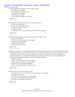 Chapter 12 The Eukaryotes: Fungi, Algae, Protozoa, and Helminths