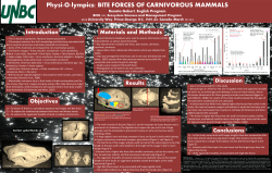 Physi-O-lympics: BITE FORCES OF CARNIVOROUS