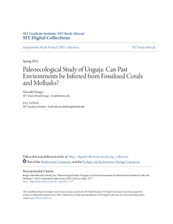Paleoecological Study of Unguja: Can Past