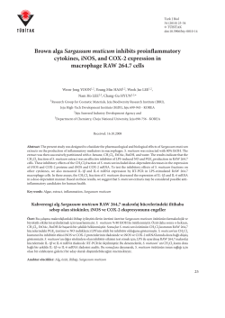 Sargassum muticum - Tubitak Journals