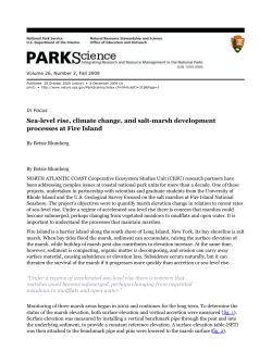 Sea-level rise, climate change, and salt
