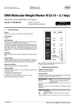 DNA Molecular Weight Marker VI (0.15 &ndash; 2.1 kbp) - Sigma