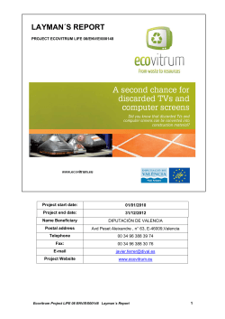 Layman report - European Commission
