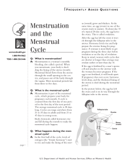 Menstruation and the Menstrual Cycle