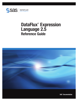DataFlux&reg; Expression Language 2.5