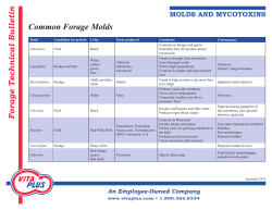 Common Forage Molds - Vita Plus Corporation