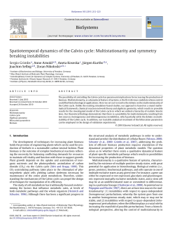 Spatiotemporal dynamics of the Calvin cycle: Multistationarity and