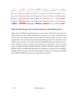 Figure S4. Wolbachia genes with sex