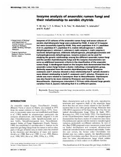 lsozyme analysis of anaerobic rumen fungi and their relationship to