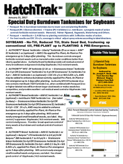 Special Duty Burndown Tankmixes for Soybeans
