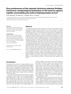 Prey preferences of the cheetah (Acinonyx jubatus) (Felidae