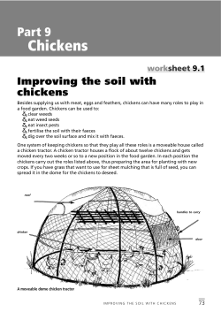 Chickens - no brainer