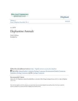 Elephantine Animals - Digital Commons@Wayne State University