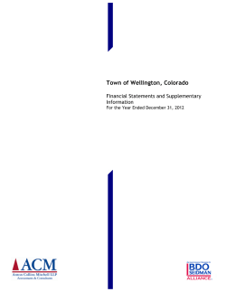 2012 Financial Report