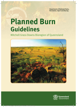 PDF, 4.1M - Department of National Parks, Sport and Racing