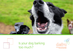 Is your dog barking too much?