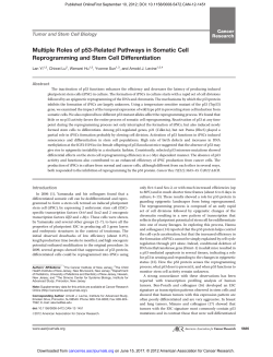 Multiple Roles of p53-Related Pathways in