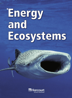 Energy and Ecosystems