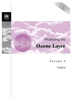 Ozone Layer