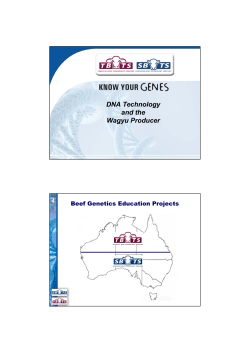 Know Your Genes - Southern Beef Technology Services