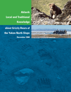 Aklavik Local and Traditional Knowledge about Grizzly Bears of the