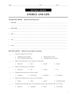 ENERGY AND LIFE