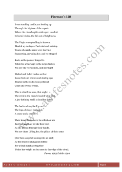 Fireman`s Lift - Aoife`s Notes