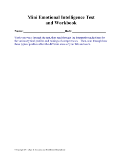 Mini Emotional Intelligence Test and Workbook