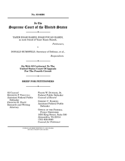 Petitioners Brief - American Bar Association