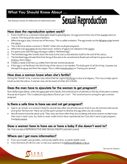 Sexual Reproduction - Sexuality Education Resource Centre