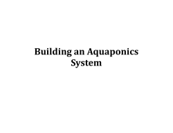 Building an Aquaponics System