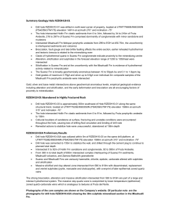 Summary Geology Hole RZDDH10-01 RZDDH10